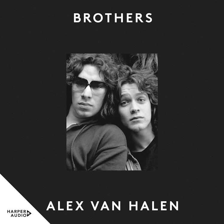 Cover image for Brothers, isbn: 9781460746554