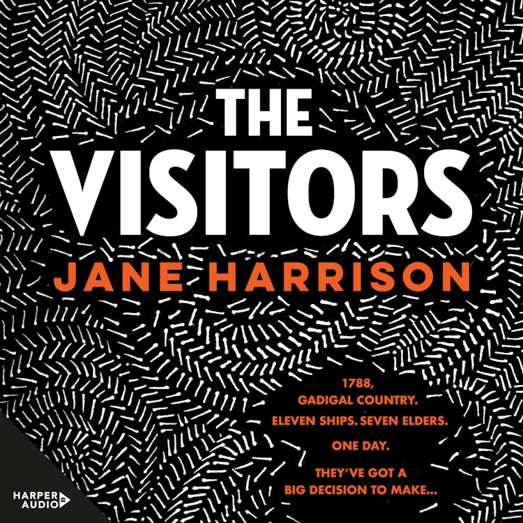 Cover image for The Visitors, isbn: 9781460749401