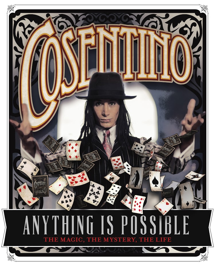 Cover image for Anything Is Possible, isbn: 9781460751343