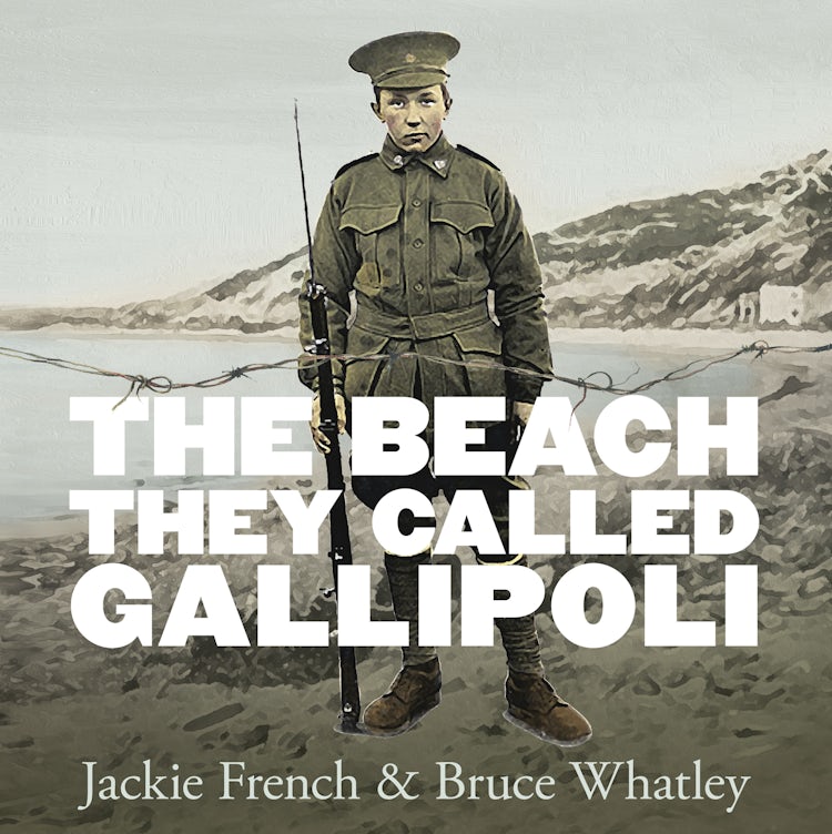 Cover image for The Beach They Called Gallipoli, isbn: 9781460752265