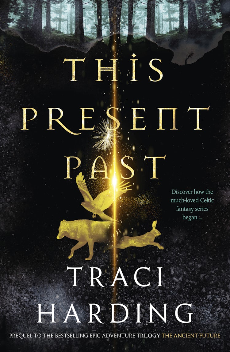Cover image for This Present Past, isbn: 9781460753637