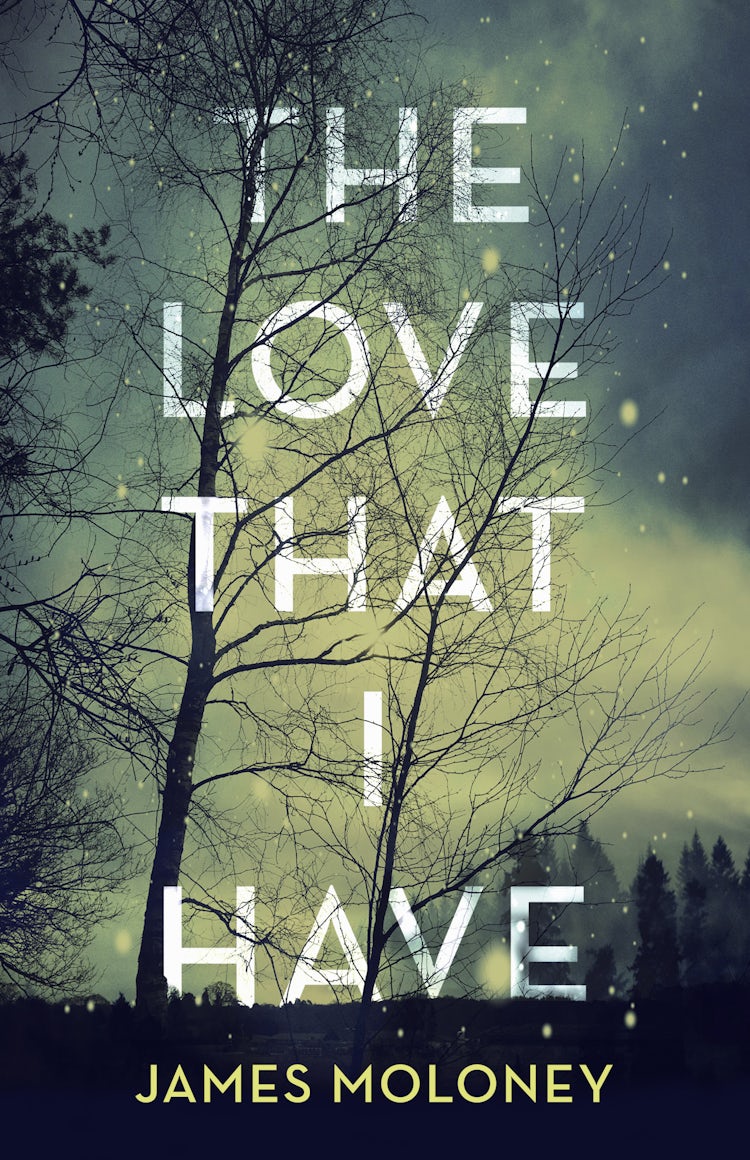 Cover image for The Love That I Have, isbn: 9781460754641