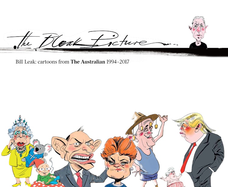 Cover image for The Bleak Picture, isbn: 9781460755112