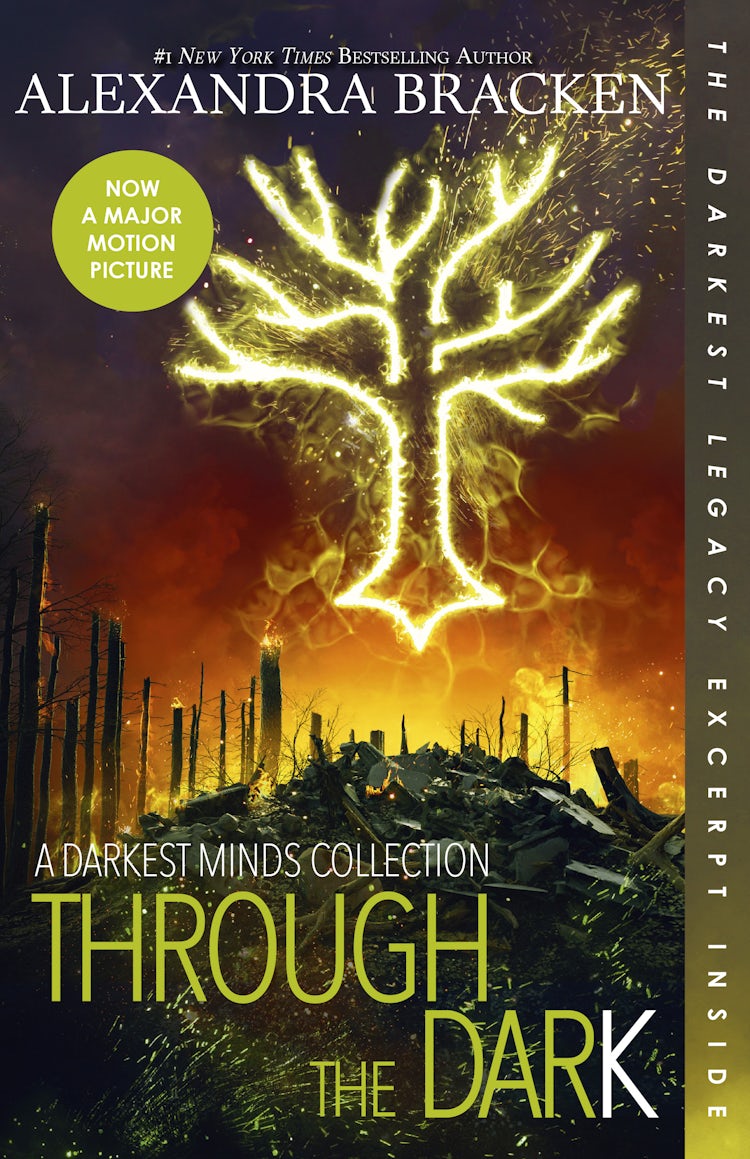 Cover image for Through the Dark, isbn: 9781460756447