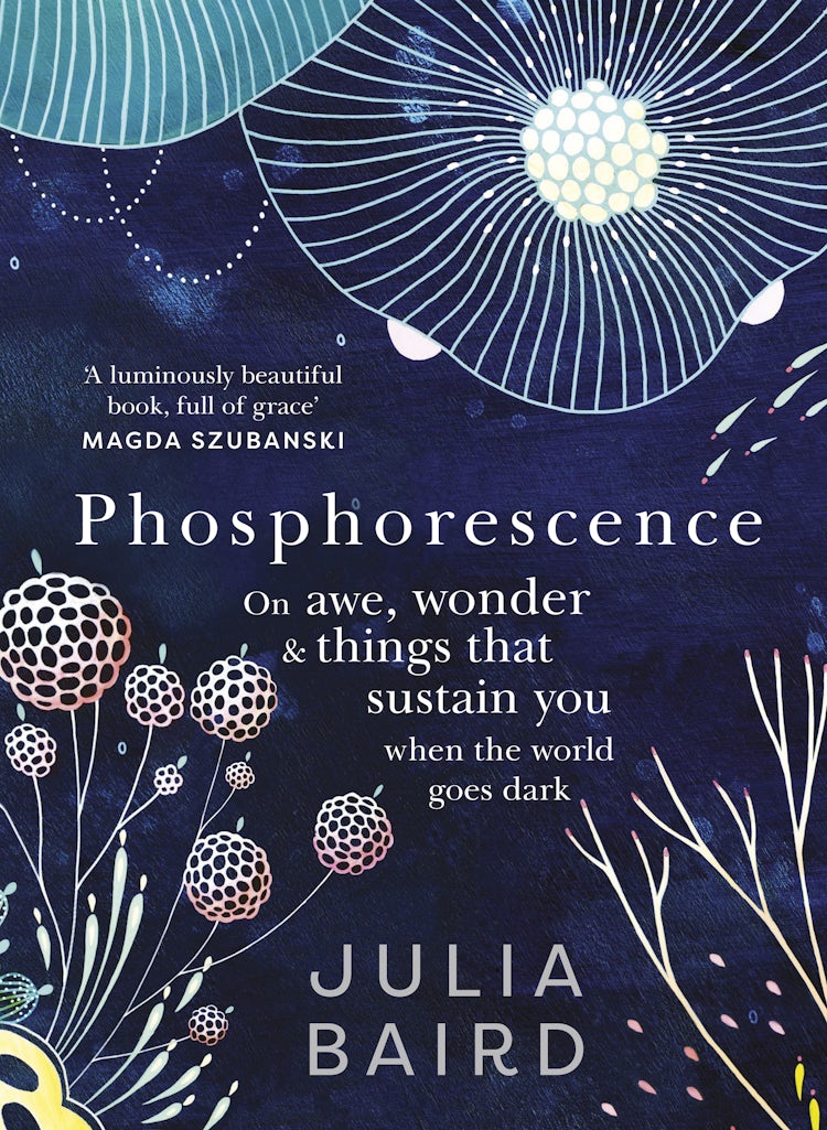 Cover image for Phosphorescence: The inspiring bestseller and multi award-winning book from the author of Bright Shining, isbn: 9781460757154