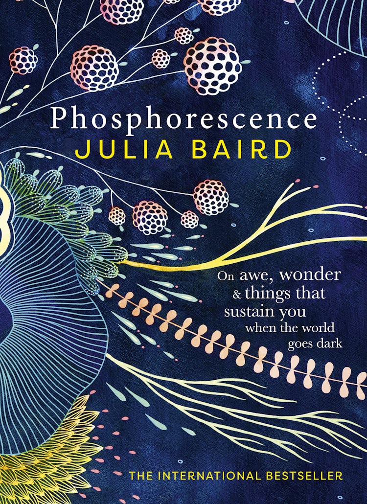 Cover image for Phosphorescence: The inspiring bestseller and multi award-winning book from the author of Bright Shining, isbn: 9781460757161