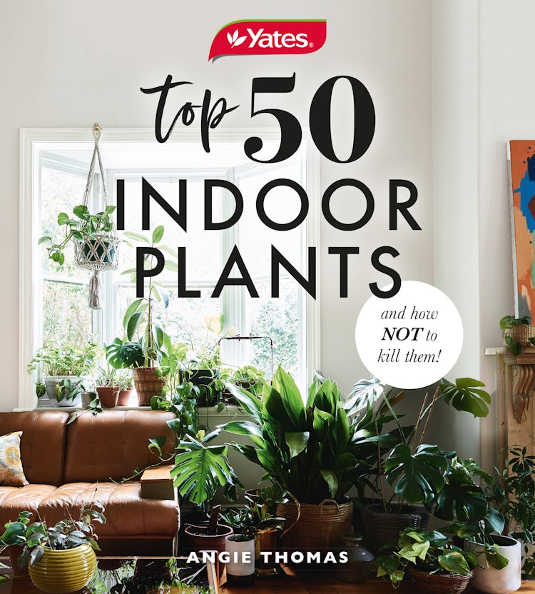 Cover image for Yates Top 50 Indoor Plants And How Not To Kill Them!, isbn: 9781460757345
