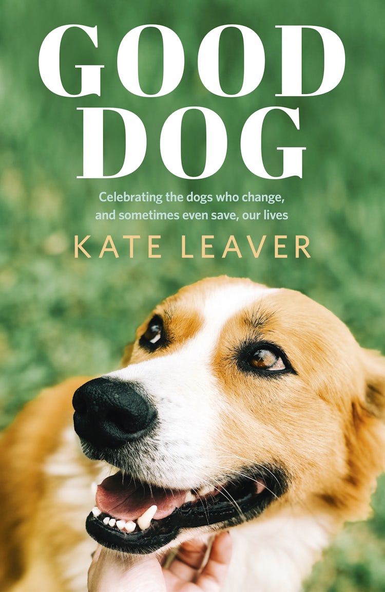 Cover image for Good Dog, isbn: 9781460758892