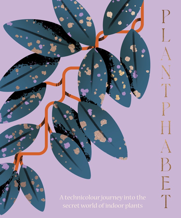 Cover image for Plantphabet: A stunningly illustrated A-Z celebration of popular indoor plants, for fans of Plant Society, Leaf Supply and Plantopedia, isbn: 9781460760604