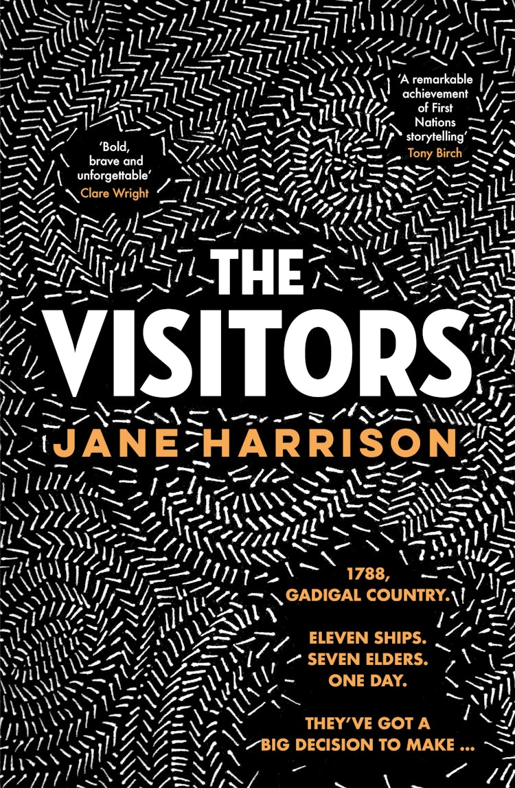 Cover image for The Visitors: The remarkable debut novel from an award-winning author and playwright, for readers of Melissa Lucashenko, Shankari Chandran and Tara June Winch, isbn: 9781460761984