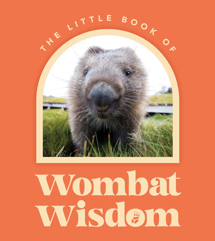 Cover image for Little Book Of Wombat Wisdom, isbn: 9781460762523