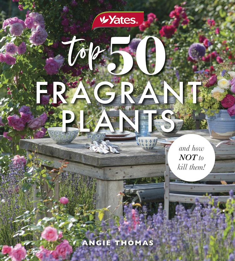 Cover image for Yates Top 50 Fragrant Plants and How Not to Kill Them!, isbn: 9781460762677