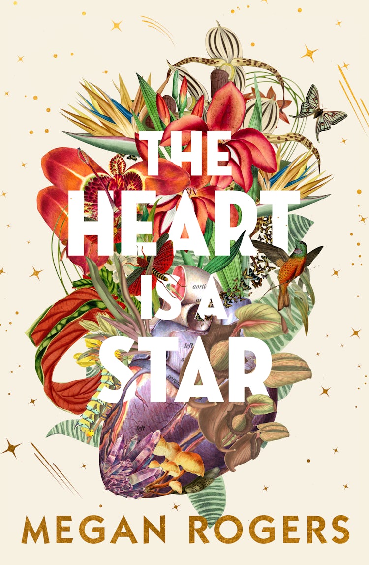 Cover image for The Heart Is A Star: The beautiful and heartbreaking bestselling debut novel about family and identity for readers of Holly Ringland, Bonnie Garmus and Ann Napolitano, isbn: 9781460763001