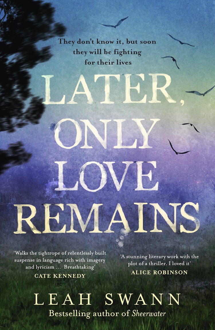 Cover image for Later, Only Love Remains: A darkly beautiful suspense novel from the award-winning bestselling author of Sheerwater, isbn: 9781460767962