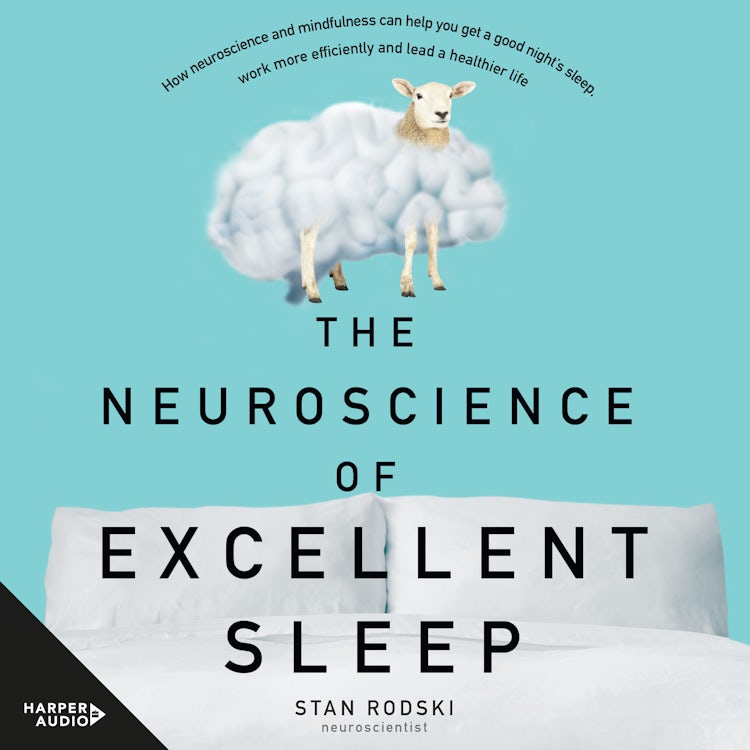Cover image for The Neuroscience of Excellent Sleep, isbn: 9781460781203