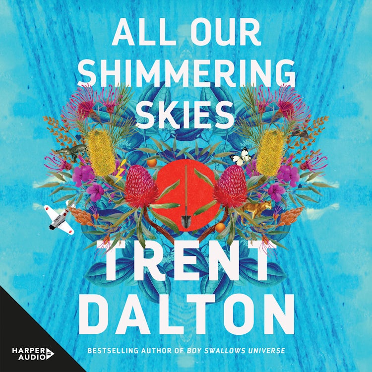 Cover image for All Our Shimmering Skies, isbn: 9781460783979