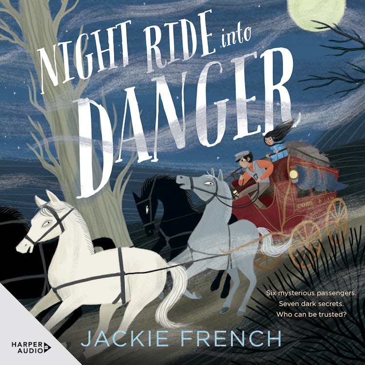 Cover image for Night Ride into Danger, isbn: 9781460788653