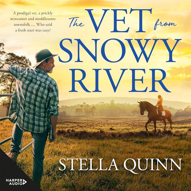 Cover image for The Vet from Snowy River: the funny and feel-good bestselling debut from a new star in romance. Perfect for readers of Rachael Johns and Karly Lane., isbn: 9781460789018