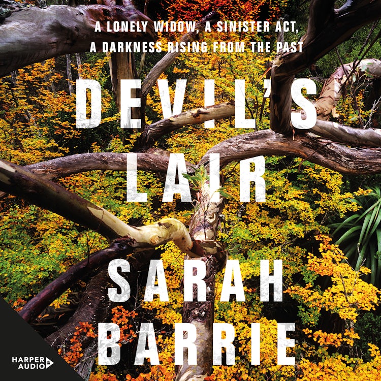 Cover image for Devil's Lair, isbn: 9781460790755
