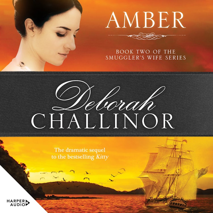 Cover image for Amber, isbn: 9781460791172