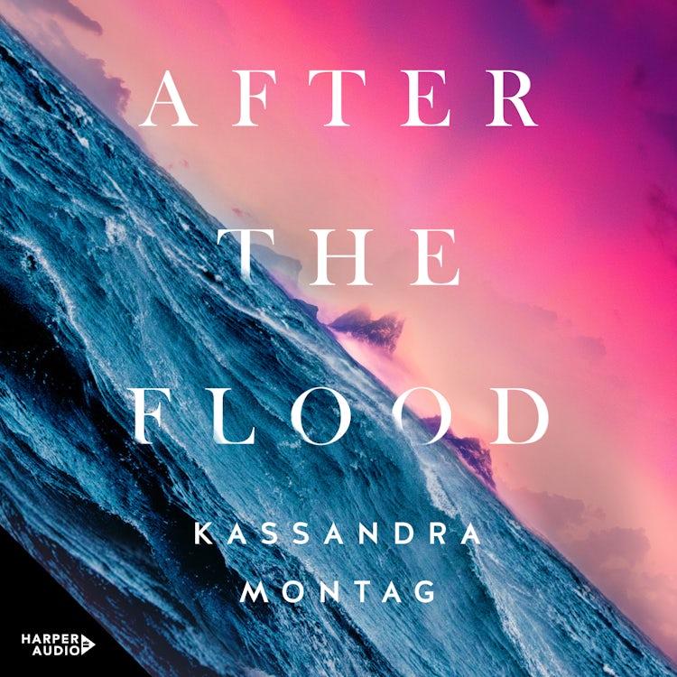 Cover image for After The Flood, isbn: 9781460791554