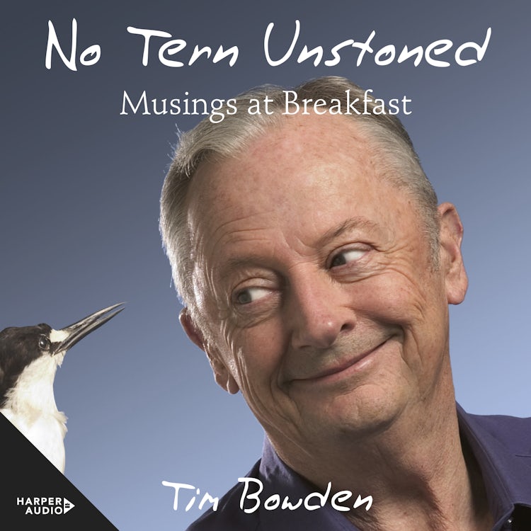 Cover image for No Tern Unstoned, isbn: 9781460795033