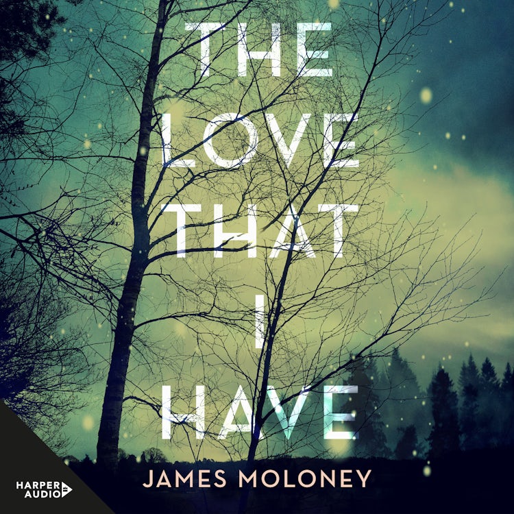 Cover image for The Love That I Have, isbn: 9781460798379