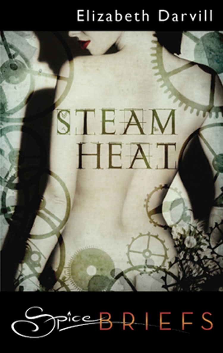 Cover image for Steam Heat, isbn: 9781460801468