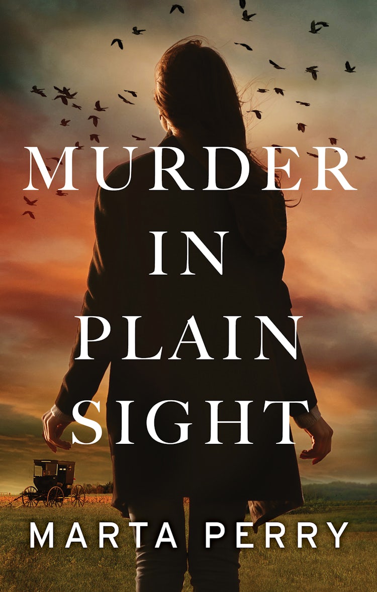 Cover image for Murder In Plain Sight, isbn: 9781460804193