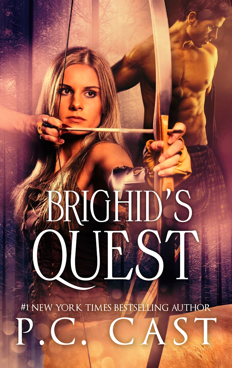 Cover image for Brighid's Quest, isbn: 9781460804537