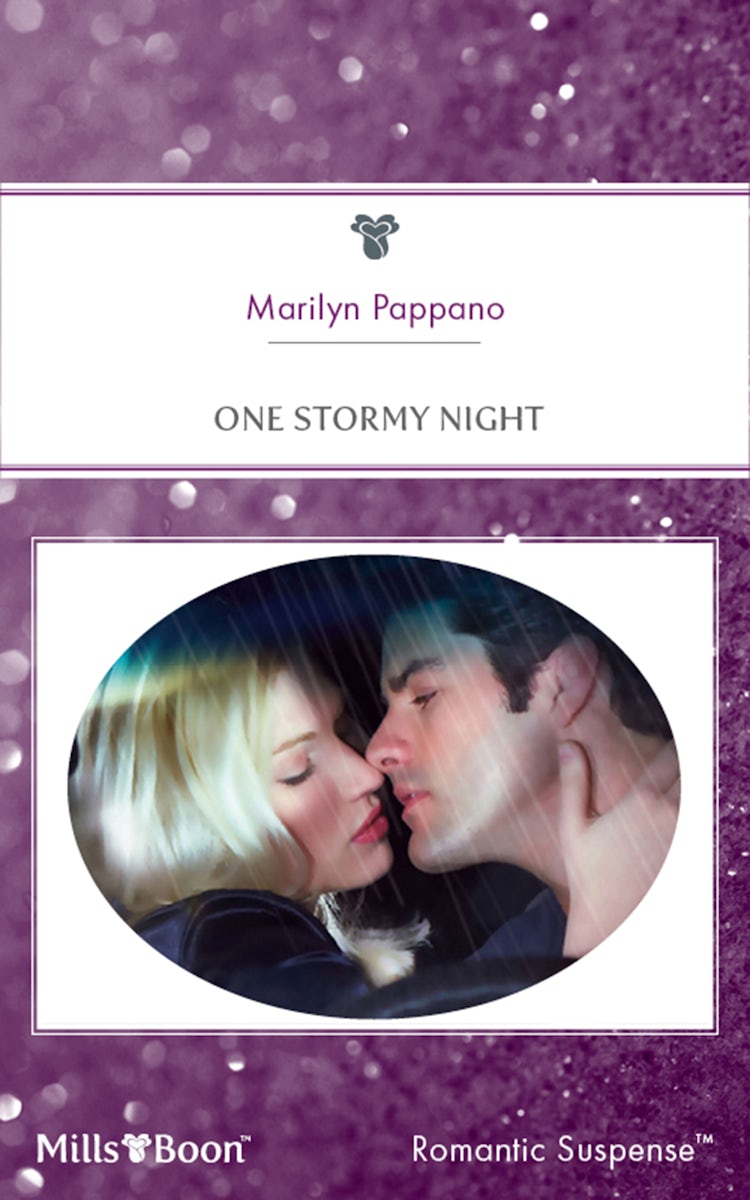 Cover image for One Stormy Night, isbn: 9781460805381