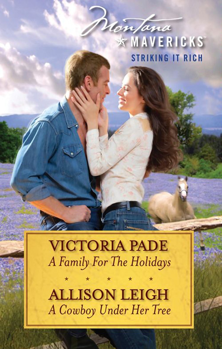 Cover image for Montana Mavericks: Striking It Rich - Volume 3 - 2 Book Box Set, isbn: 9781460807361