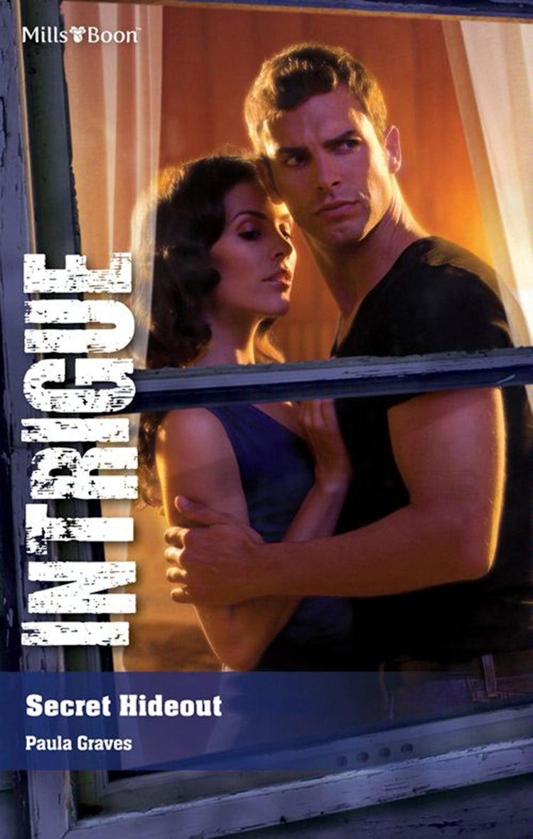 Cover image for Secret Hideout, isbn: 9781460807996