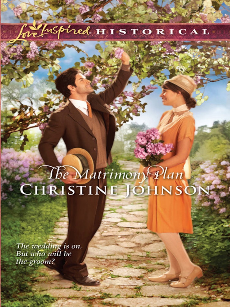 Cover image for The Matrimony Plan, isbn: 9781460808511