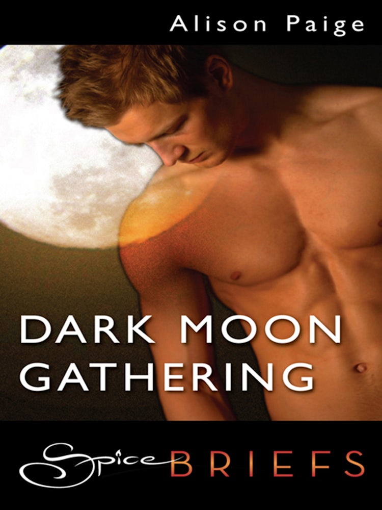 Cover image for Dark Moon Gathering, isbn: 9781460812860