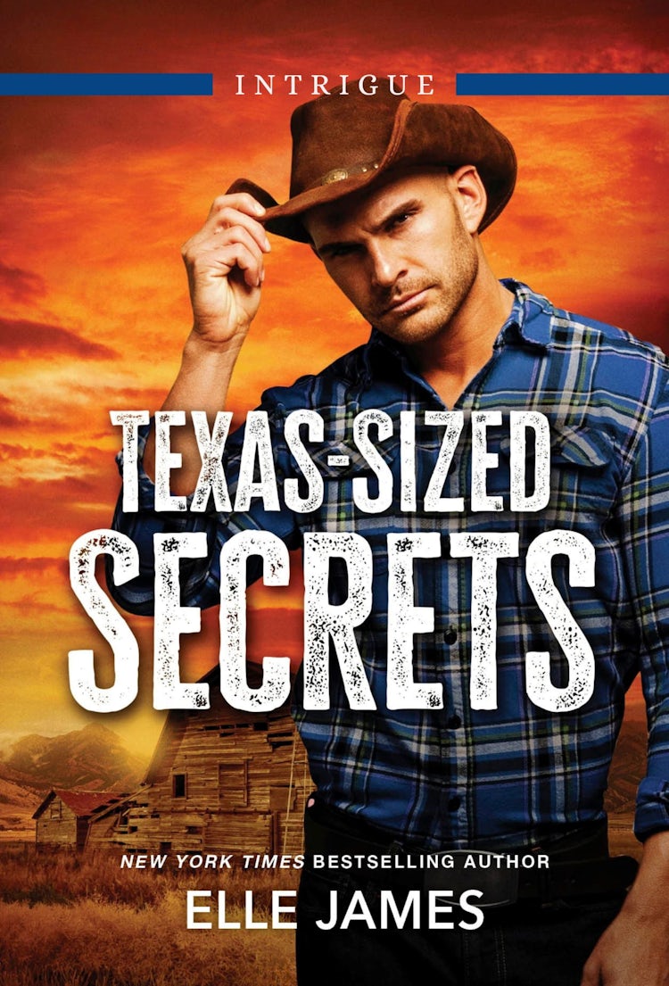 Cover image for Texas-Sized Secrets, isbn: 9781460814475
