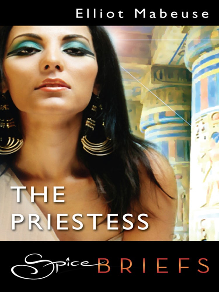 Cover image for The Priestess, isbn: 9781460815137