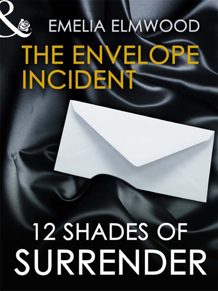 Cover image for The Envelope Incident, isbn: 9781460821145