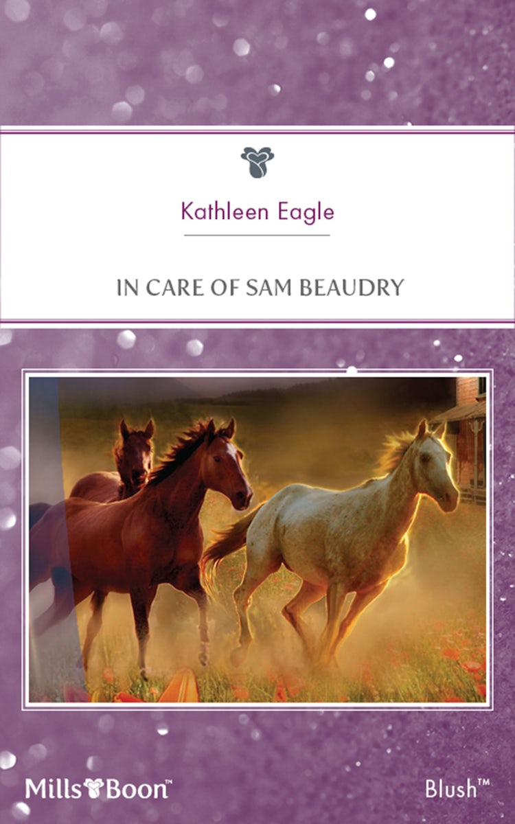 Cover image for In Care Of Sam Beaudry, isbn: 9781460822555
