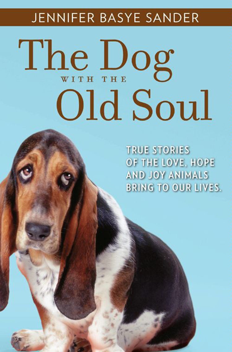 Cover image for The Dog With The Old Soul, isbn: 9781460823811