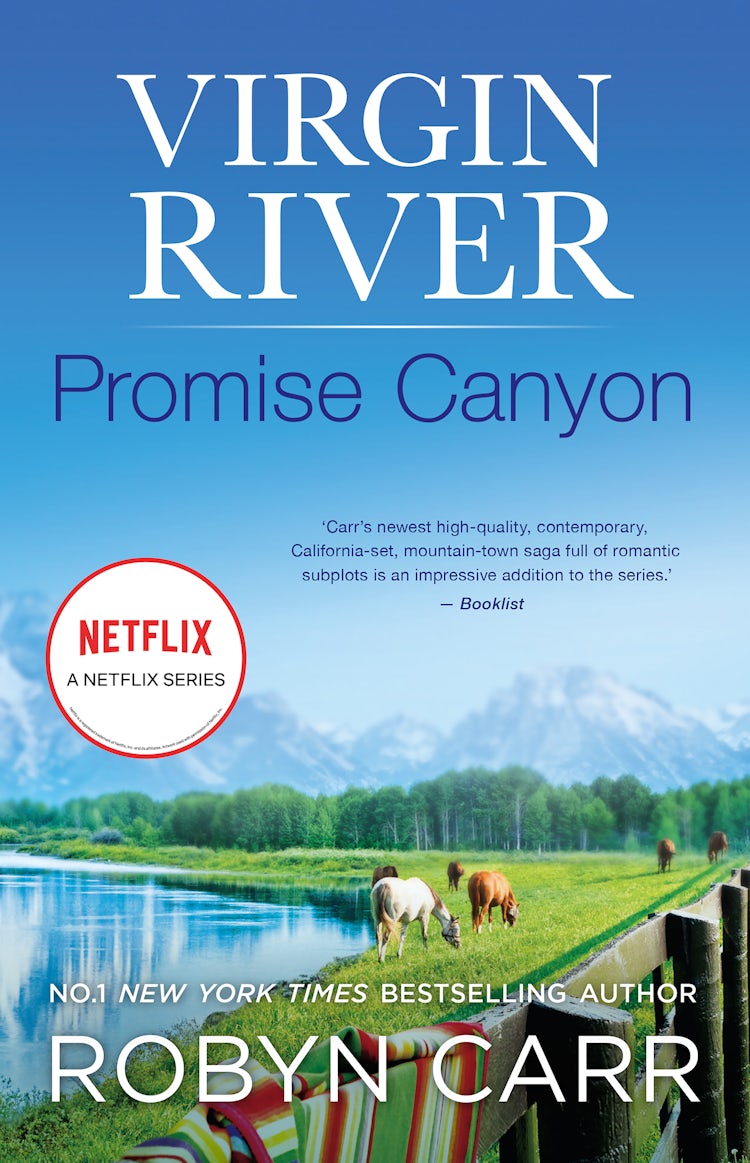 Cover image for Promise Canyon, isbn: 9781460830543