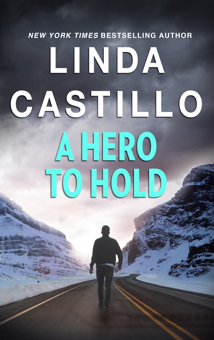 Cover image for A Hero To Hold, isbn: 9781460840627