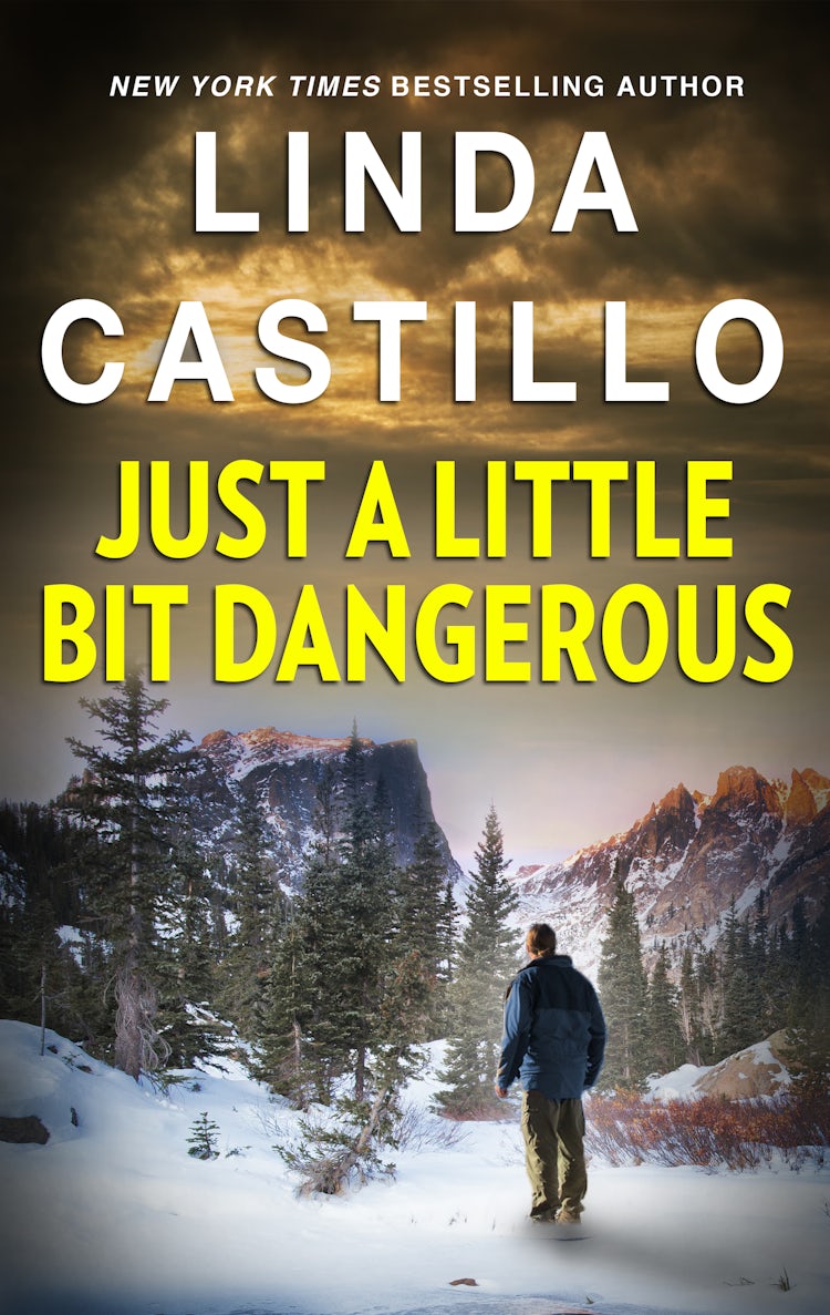Cover image for Just A Little Bit Dangerous, isbn: 9781460840863