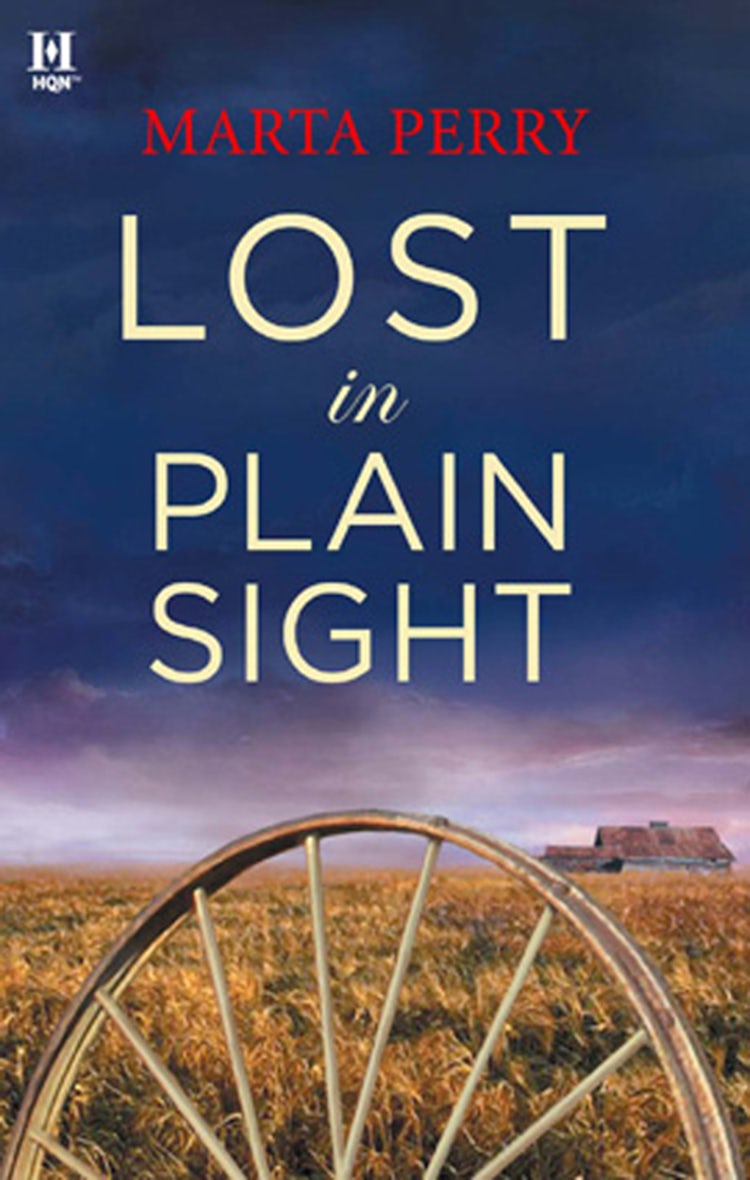 Cover image for Lost In Plain Sight, isbn: 9781460840924
