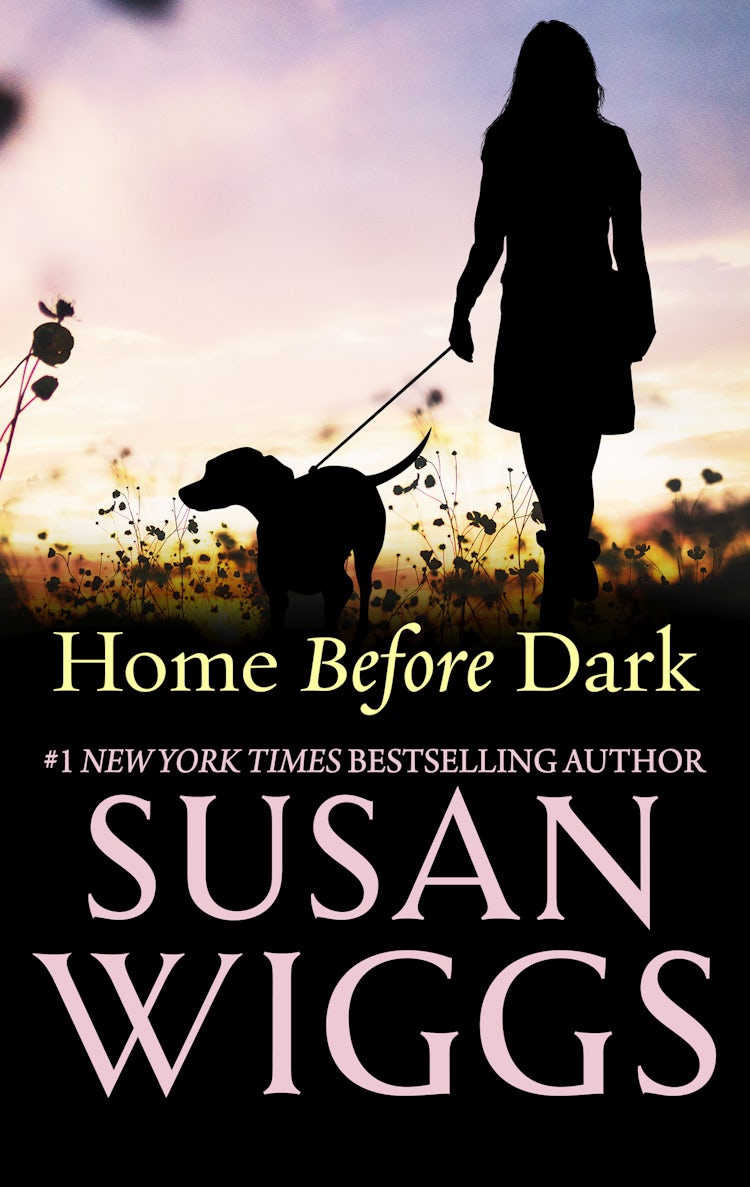 Cover image for Home Before Dark, isbn: 9781460844632