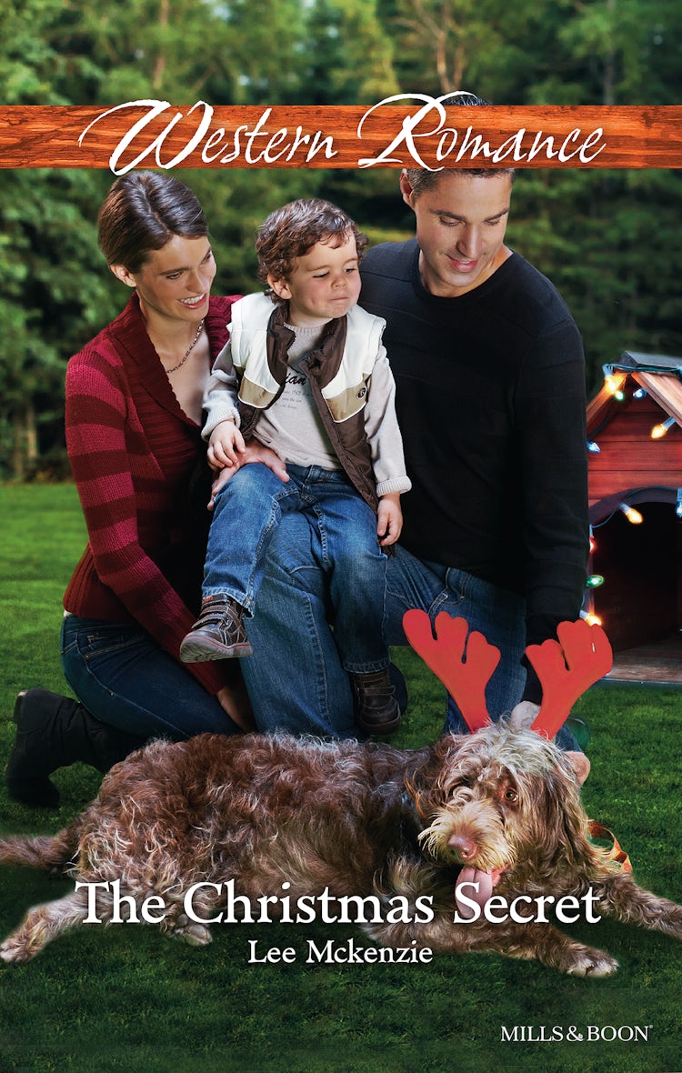 Cover image for The Christmas Secret, isbn: 9781460846605