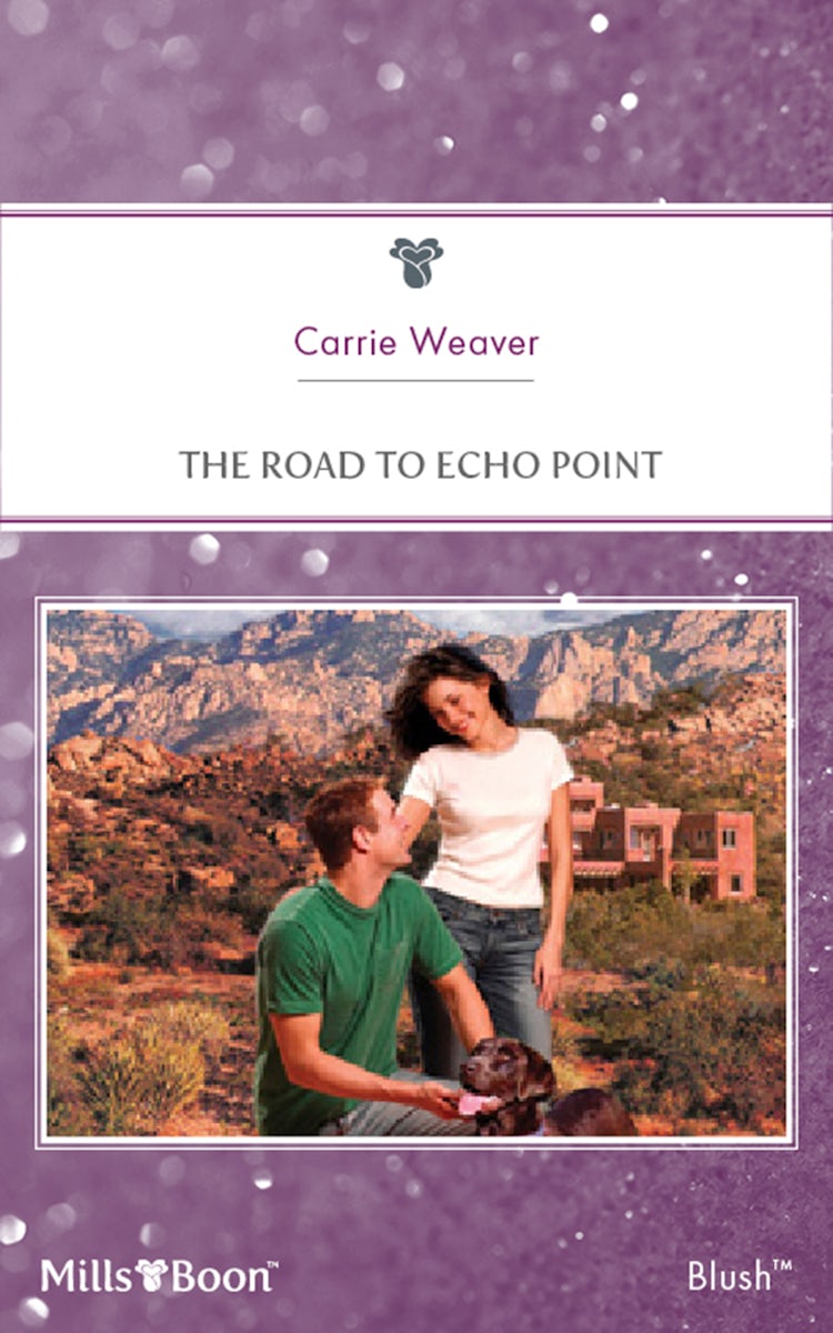 Cover image for The Road To Echo Point, isbn: 9781460854822