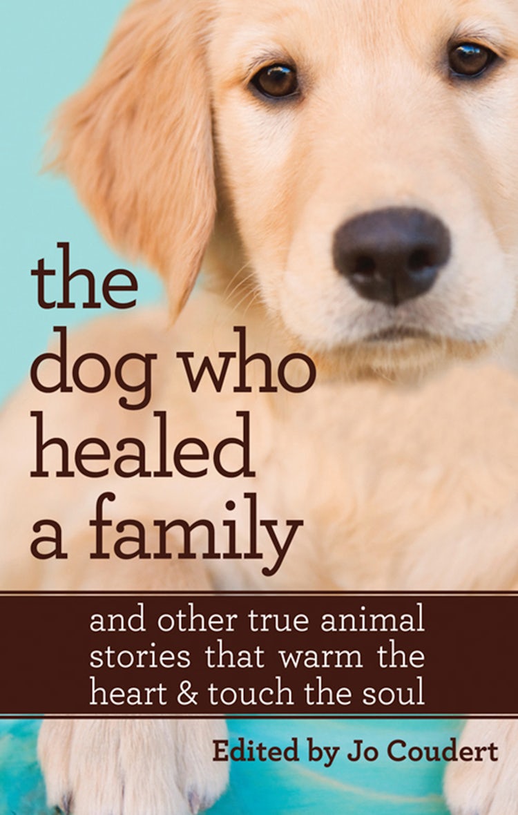 Cover image for The Dog Who Healed A Family, isbn: 9781460884645