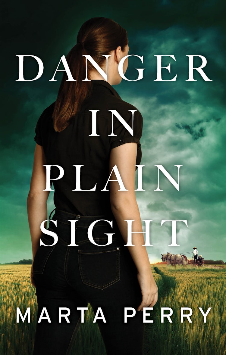 Cover image for Danger In Plain Sight, isbn: 9781460884720