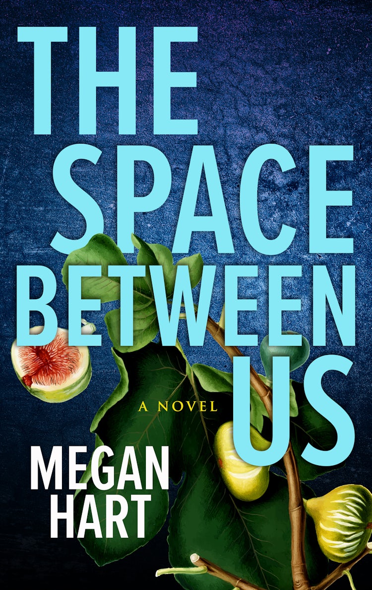 Cover image for The Space Between Us, isbn: 9781460888278